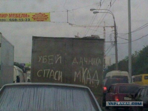 Пробка. Называется "найди себя"