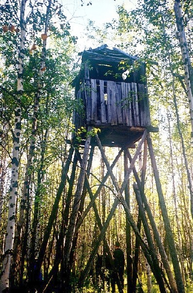 Мертвая дорога-призрак:трагическая история стройки