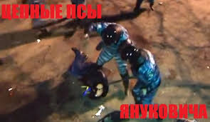 Беркут растрощил водителю автомобиль.