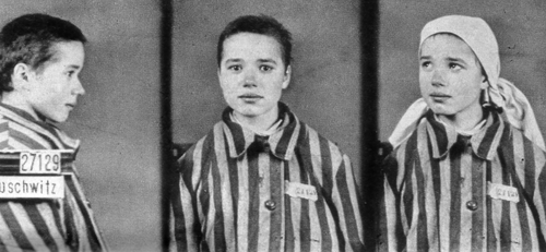 Несколько фотографий Великой Отечественной Войны