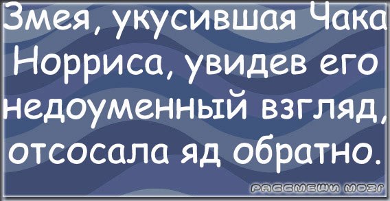 Подборка смешных картинок :)