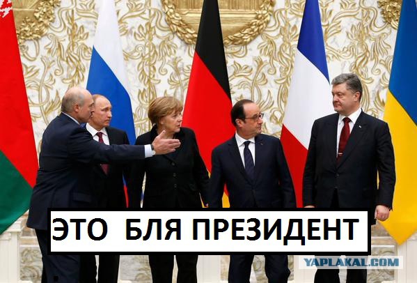 Предлагаю пожабить