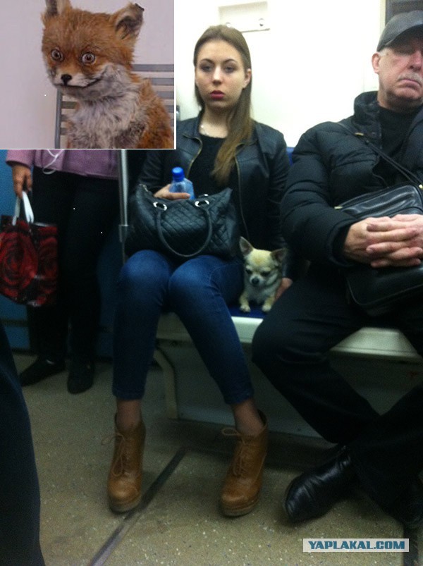 Пассажирки метро