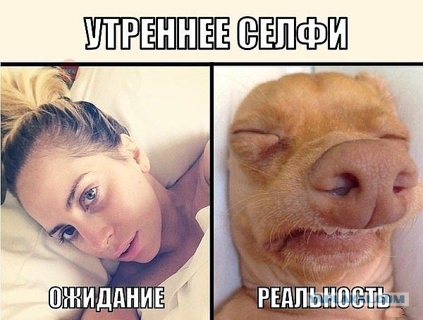 Веселые картинки на пятницу