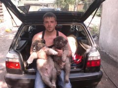 Росло-росло и выросло