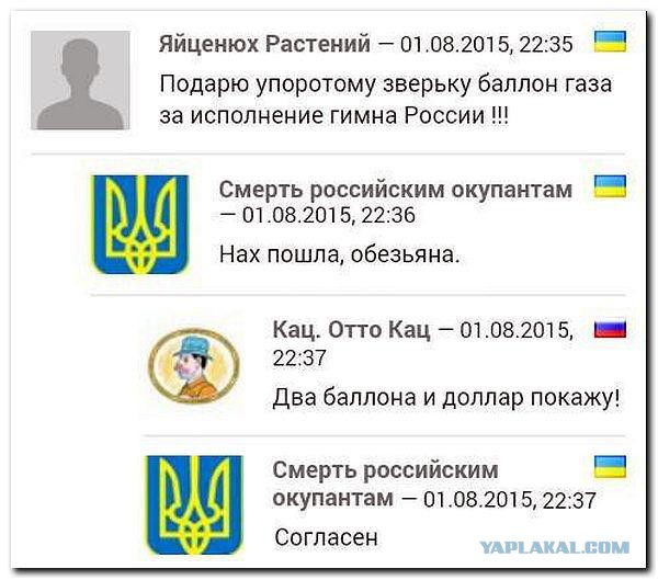 Смешные комментарии из социальных сетей