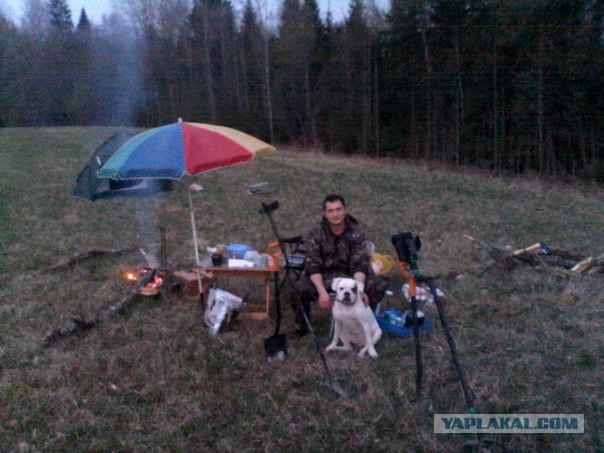Дневник кладоискателя