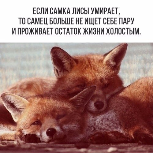 Подборка прикольных картинок