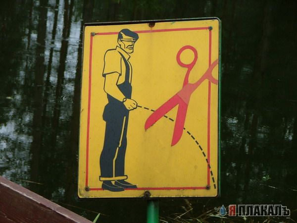 Дорожные знаки и указатели