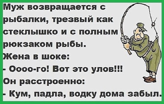 Подборка картинок