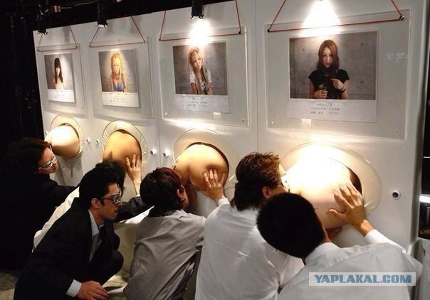 WTF: Что тут происходит?