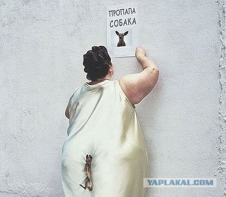 Подборка интересных и смешных картинок