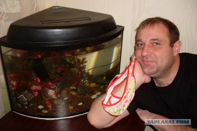 Смелые ЯПовцы.