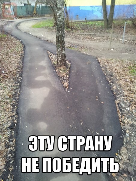 Подборка картинок и демотиваторов