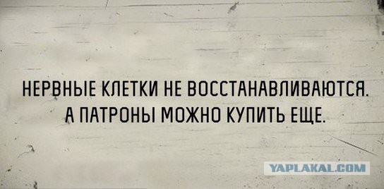 Смешные комментарии из социальных сетей 19.08.2016