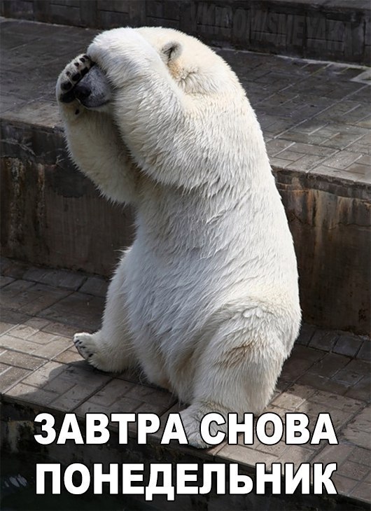 Немного позитива на выходной я начну а вы продолжите