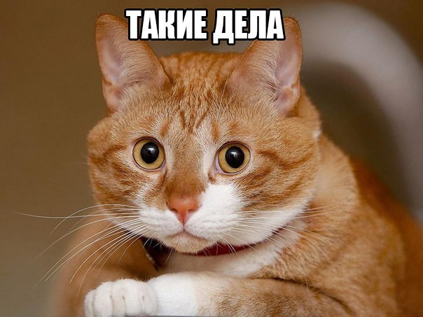 Ремень безопаности? Да ну, на фиг