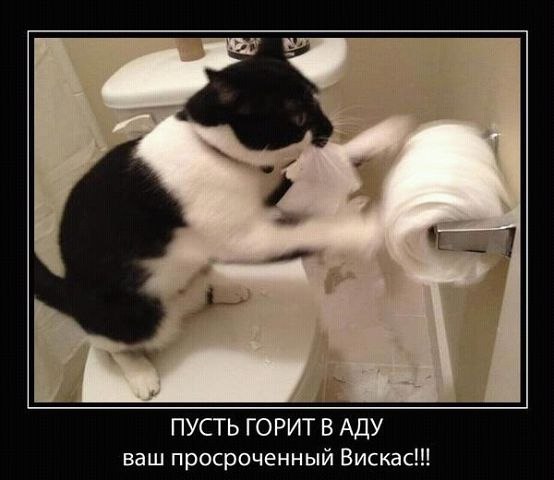 184 картинки для поднятия настроения!