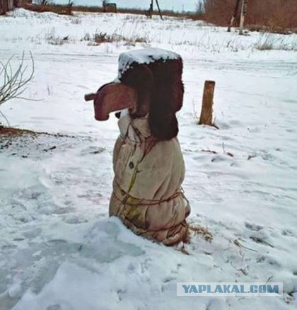 Из интернета, опять картинки