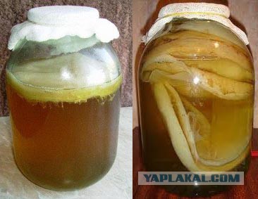 Еда детства: вкусные бренды советского пищепрома