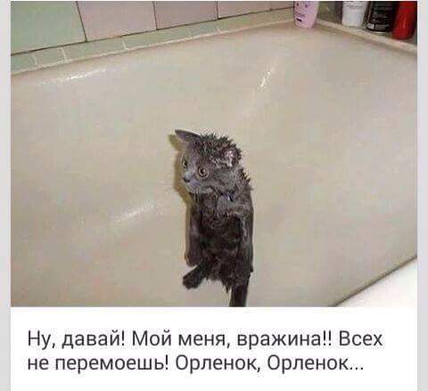 Смешные картинки
