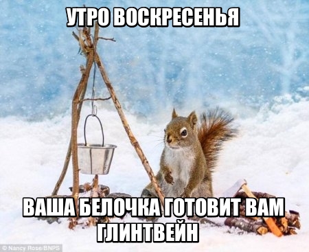 24 картинки с надписями на разные темы-2