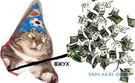 Вот и я столкнулся с мракобесием в системе образования