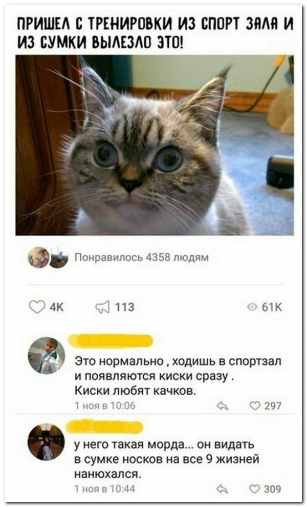 Смешные комментарии из социальных сетей.02.03.2018.