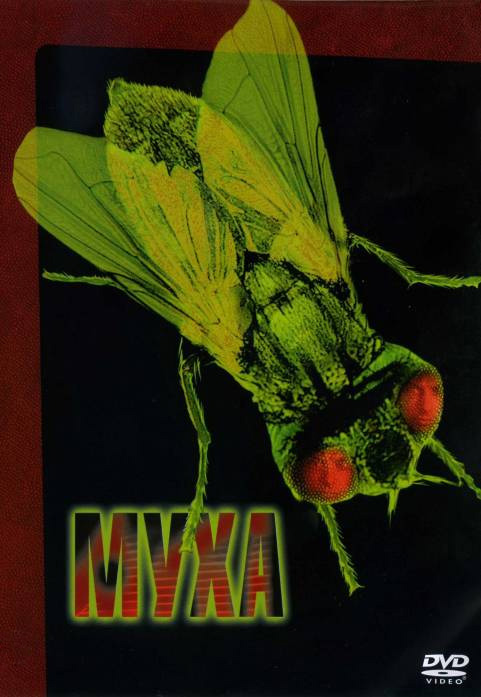 Забытые фильмы из эпохи VHS
