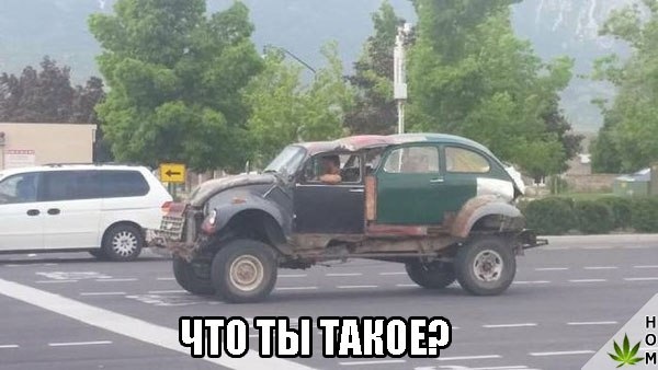 Прикольные картинки обо всём