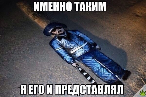 Прикольные картинки абавсём