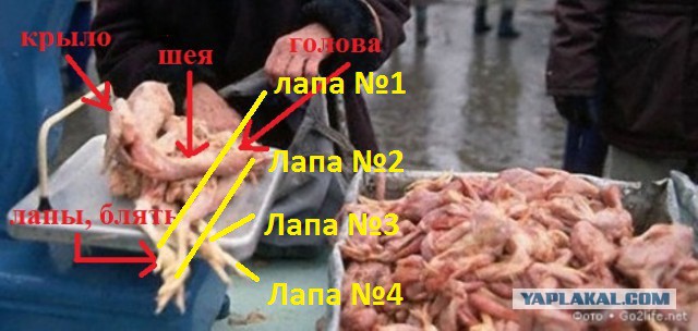 Несколько чудесных снимков из советской жизни.
