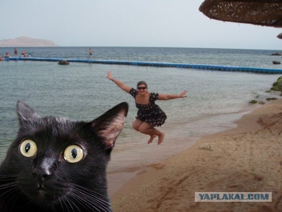Фотожаба: Улетаю