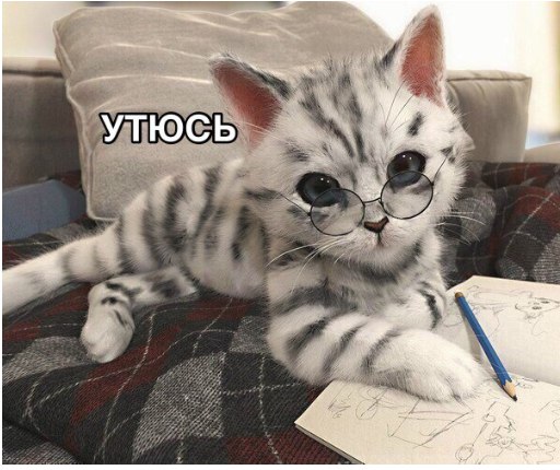Немного картинок для настроения 26.01.20