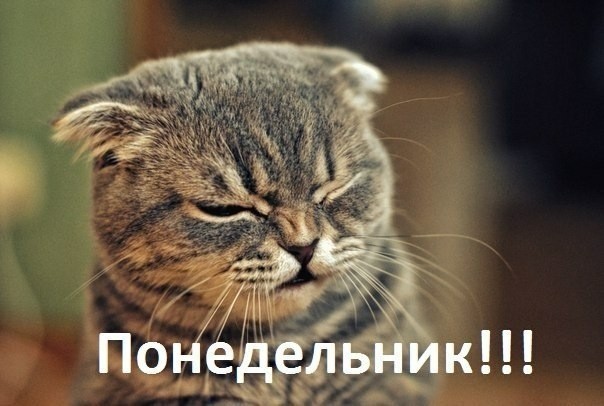 Картинки всякие