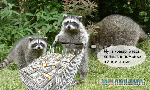 Разборки