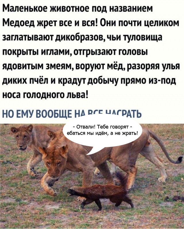С миру по нитке 11.12 пятница