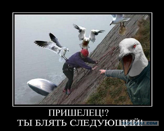 Конкурс фотожабы: Пришельцы среди нас