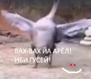 Победа в первом раунде
