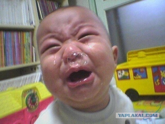 Губят будущее наших детей, а так же будущее нашей страны!