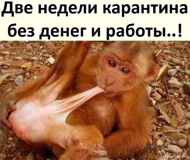 Баянисто-небаянистый юмор.22.06.21