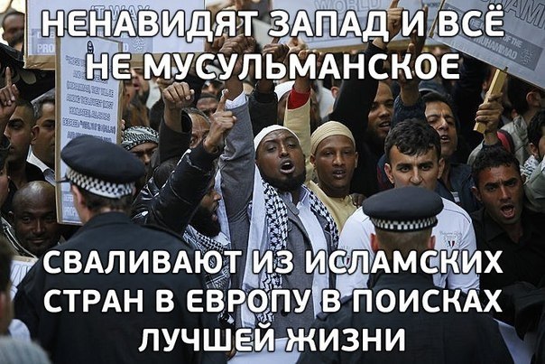 Слава богу, я безбожник #3