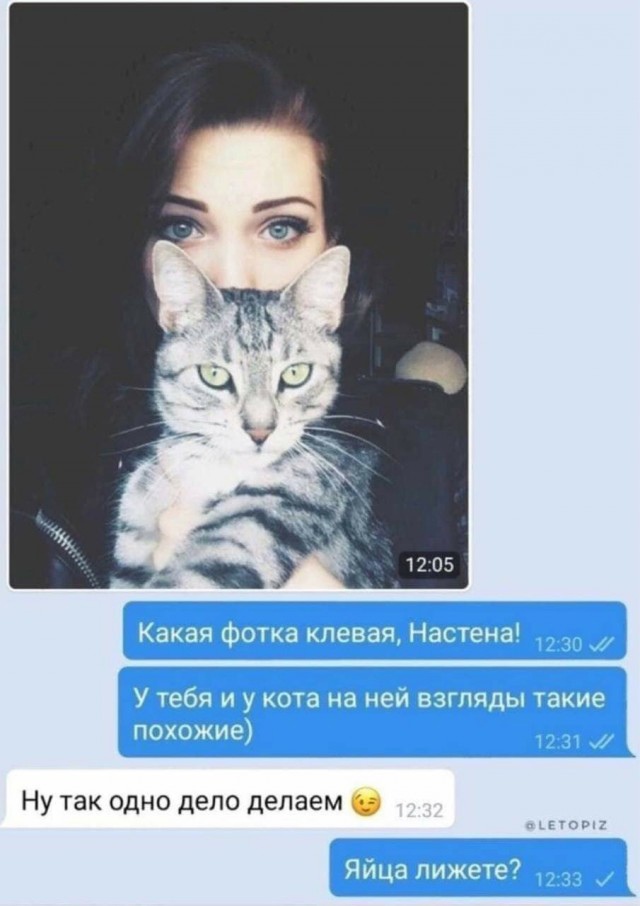 Так себе картинки 14.08.21