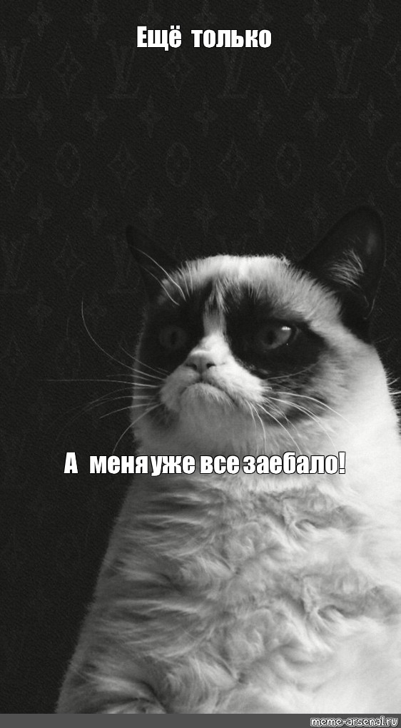 Настроение зае..б*ло  все