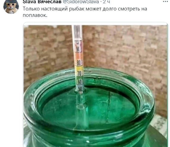 Весёлый полтишок 11.09