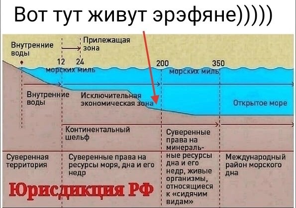 Алексей Навальный стал лауреатом польской премии «Рыцарь свободы»
