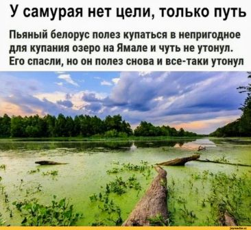 Немного картинок разной степени новизны и адекватности - 11