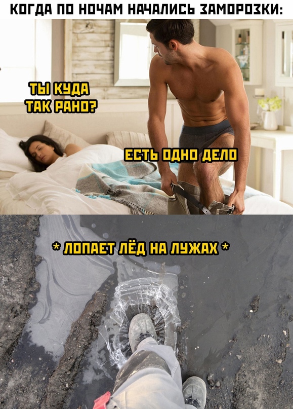Весёлый полтишок 10.10