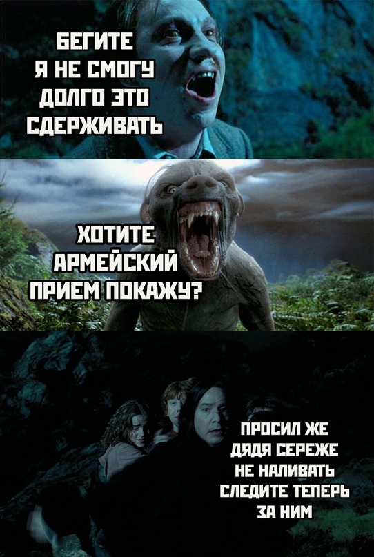 Весёлый полтишок 23.11