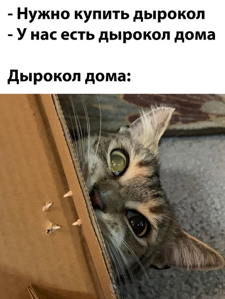 Картинки и мемы для настроения